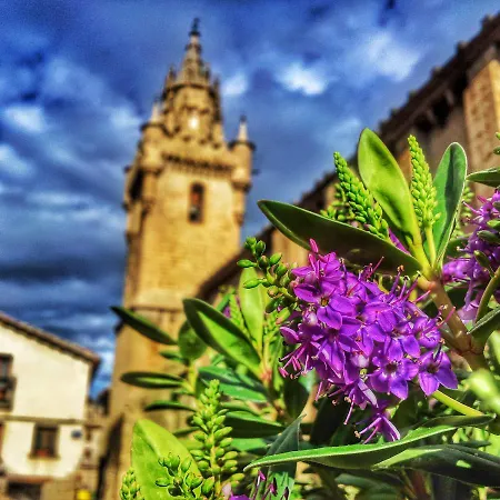 De فندق Uncastillo